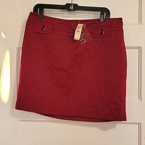 New Ann Taylor Loft Petites Skirt